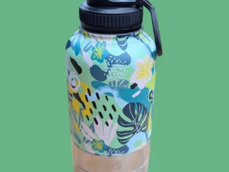 Bouteille d’eau portable pour chien le guide