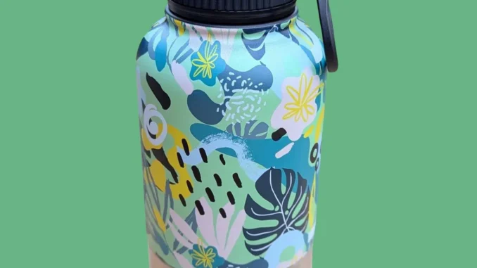 Bouteille d’eau portable pour chien le guide