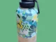 Bouteille d’eau portable pour chien le guide